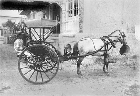 19th century modes of transportation - Google Search | Carriage driving, Horse carriage, Vintage ...