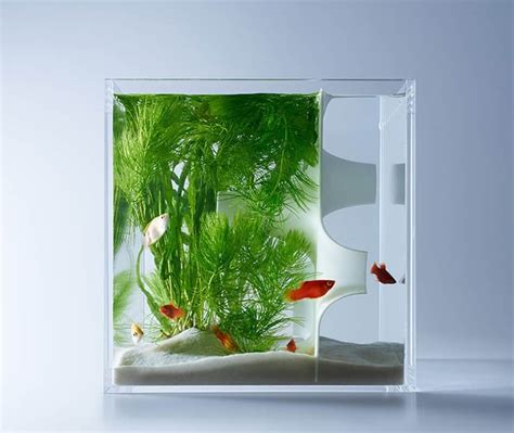 20 Most Unusual Fish Tank Designs for Office and Home