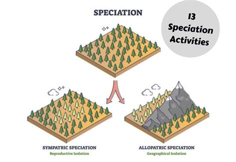 13 Speciation Activities - Teaching Expertise