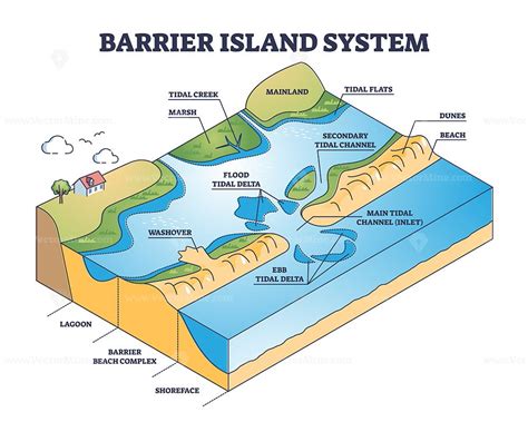 Barrier island system as dune type and coastal landforms outline ...