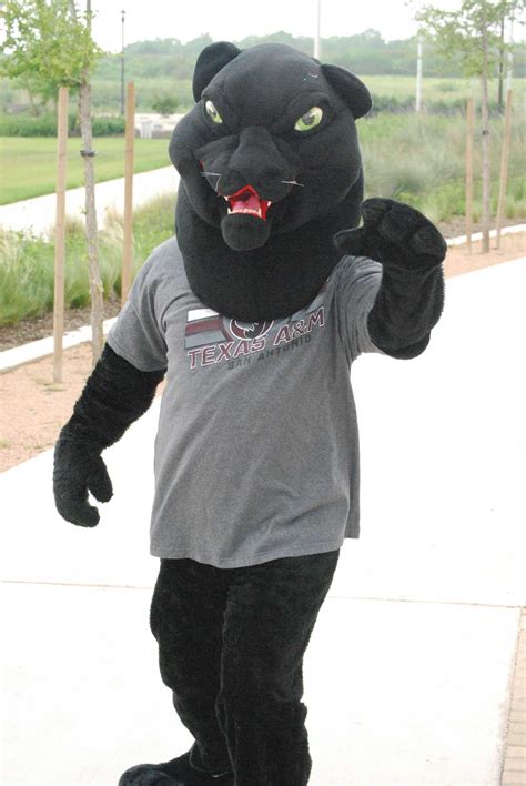 A&M-SA's mascot gets a name - San Antonio Express-News