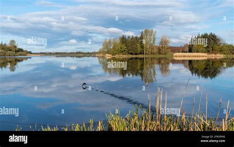 Forfar loch hi-res stock photography and images - Alamy