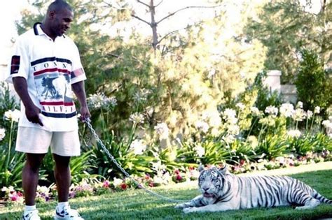 What happened to Mike Tyson's pet tiger?