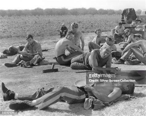 32 George Kennedy Cool Hand Luke Photos & High Res Pictures - Getty Images