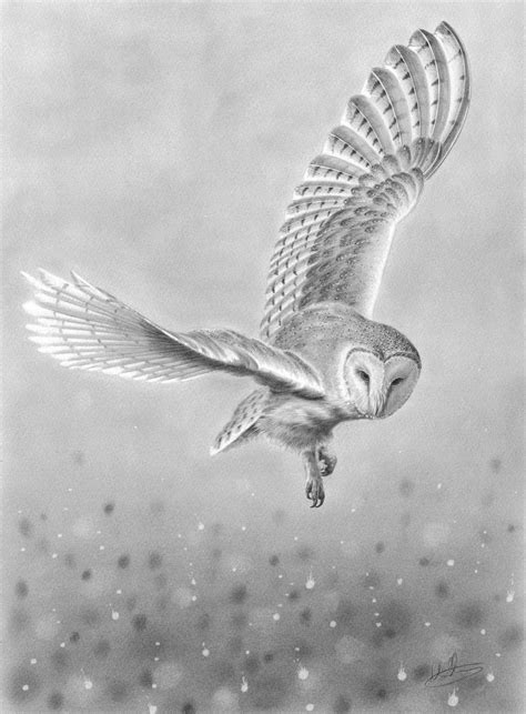 Barn Owl in Flight Nolon Stacey | Owl tattoo drawings, Owls drawing, Barn owl tattoo