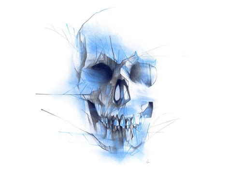 Blue Skull by Alexis Marcou on Dribbble