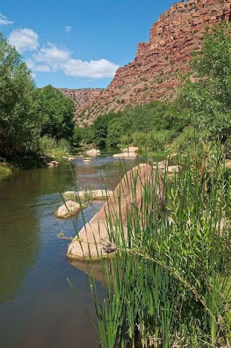 Upper Verde River, Prescott National Forest, Arizona | Prescott national forest, Arizona travel ...