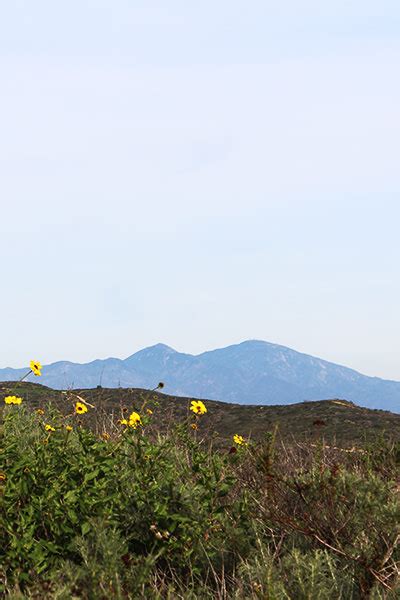 What To Do In Laguna Beach | Hiking Trails