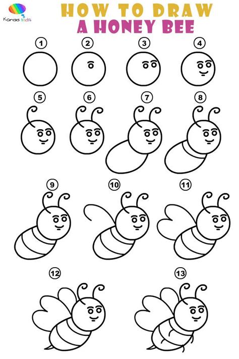 How to draw a honeybee step by step | Bee drawing, Honey bee drawing, Bees for kids