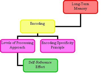 Annette: Long-Term Memory-Encoding