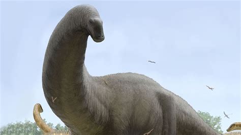 The Evolution of Sauropods - YouTube