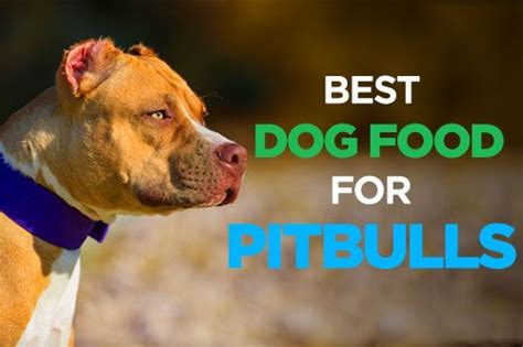 best dog food for pitbull puppies to gain muscle - Alex Olmstead