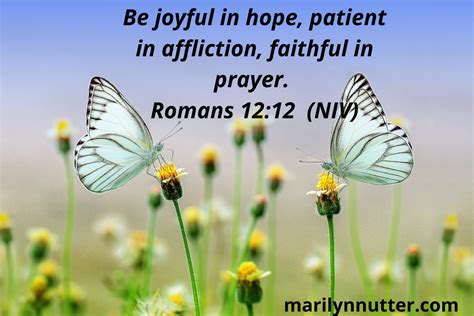 Be joyful in hope, patient in affliction, faithful in prayer. Romans 12 12 (NIV) | Marilyn Nutter