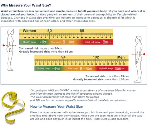 A quick health check - your waist circumference — Freemasons Centre for Male Health & Wellbeing