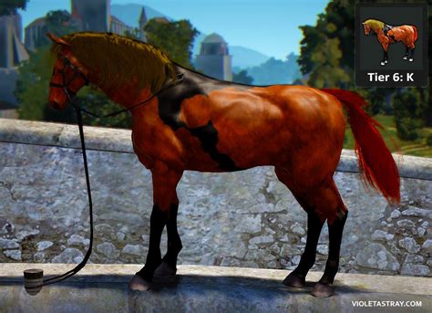 BDO Horse Catalog - See What Horses Really Look Like! – Violet Astray