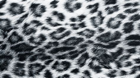 snow-leopard-fur.jpg (JPEG-Grafik, 1920 × 1080 Pixel) | Tiermuster