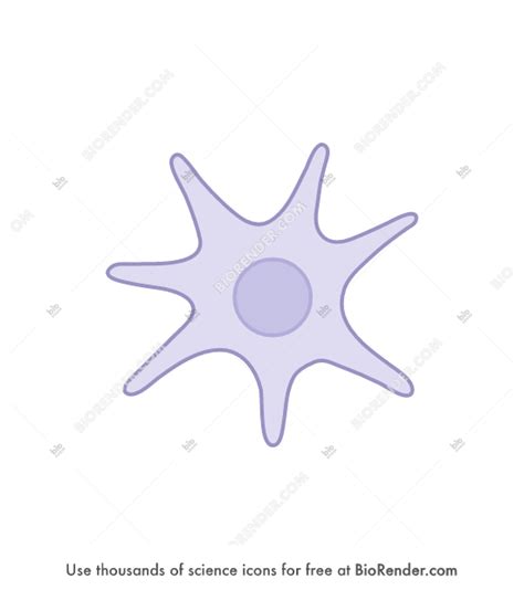 Free Stellate cell 2 Icons, Symbols & Images | BioRender