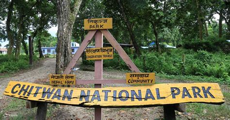 Chitwan National Park Tour from Pokhara - Klook