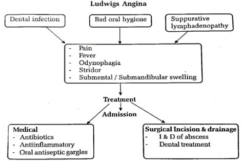 O C & P - LUDWIG’S ANGINA - Dr. Meenesh Juvekar - ENT Specialist