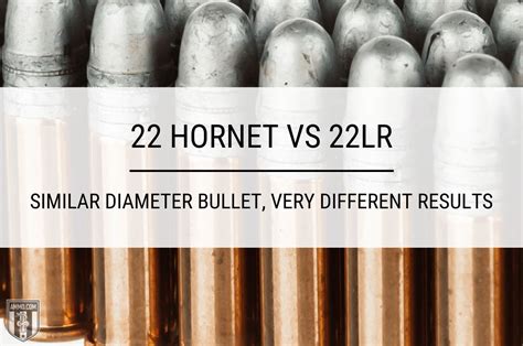 22 Hornet vs 22LR - Cartridge Comparison by Ammo.com