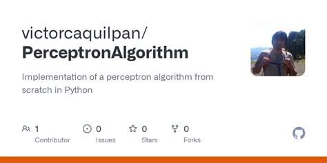 GitHub - victorcaquilpan/PerceptronAlgorithm: Implementation of a ...