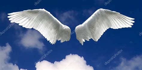 Angel wings with sky background ⬇ Stock Photo, Image by © SolidPhotos #59242471