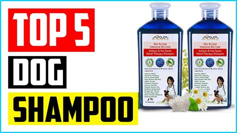 Top 5 Best Antifungal Dog Shampoo in 2021 Reviews - YouTube