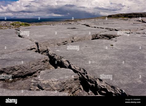 Spectacular glaciated coastal limestone pavement at Poulsallagh, Co ...