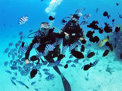 Scuba Diving in Tahiti - TOPDIVE