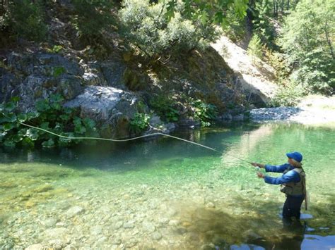 DIY Guide to Fly Fishing the North Yuba River in California | DIY Fly ...