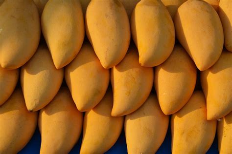 African Mango (irvingia gabonensis) : Bienfaits et vertus - NatureAZ.com