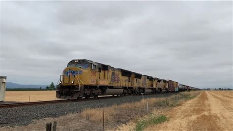 Railfanning Union pacific trains around the shedd and Halsey Oregon 8 ...