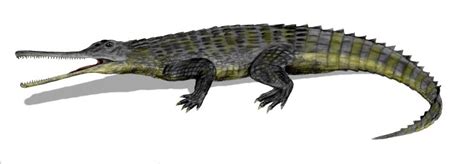 Phytosaurs - A-Z Animals