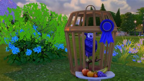 Sims 4 Pet Bird