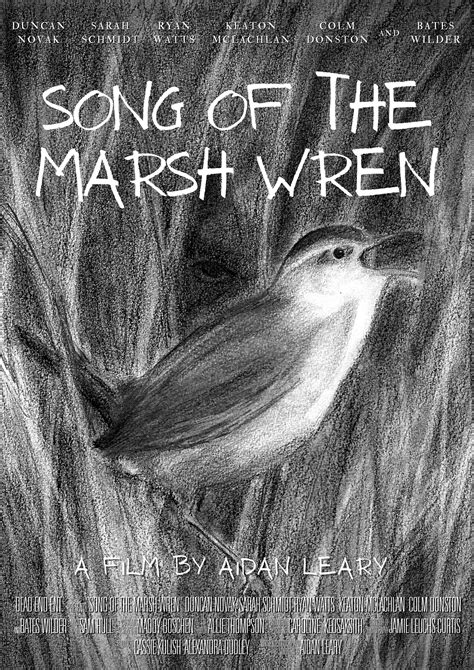 Song of the Marsh Wren (2023)