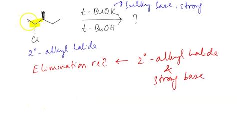 SOLVED: 'What is the major product for the following reaction? t-BuOH ...