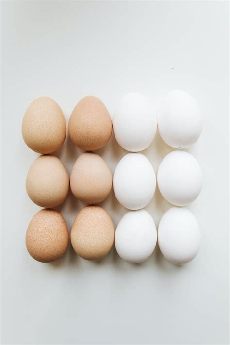 Photo Of Brown And White Eggs · Free Stock Photo