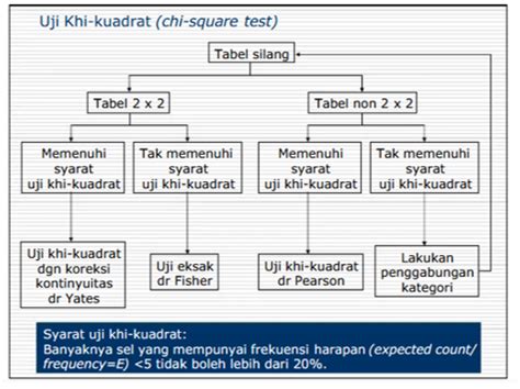 Syarat Uji Chi Square Menurut Sugiyono Chi Square Dan Uji Persyaratan - Riset