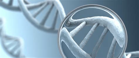 Unlocking the Secrets of Genetic Testing: What It Is and How It Can ...