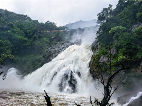 20 kms Trekking at Dudhsagar Falls, Goa In Monsoon