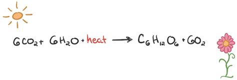 Casual Endothermic Word Equation Up Board Physics Syllabus Class 12 2020