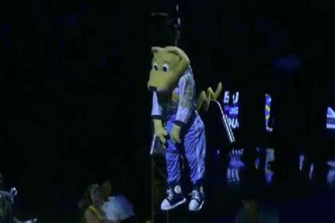 Nuggets mascot 'Rocky' collapses after being lowered from rafters while ...