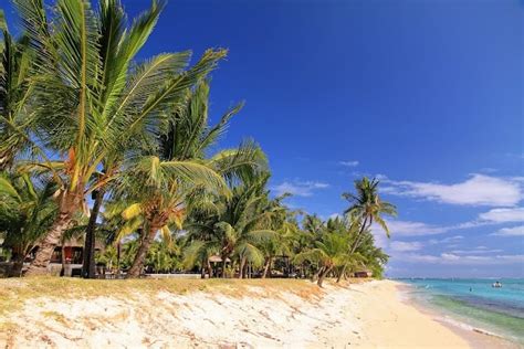 Le Morne Beach, Mauritius - Things to Do, Timings & Photos