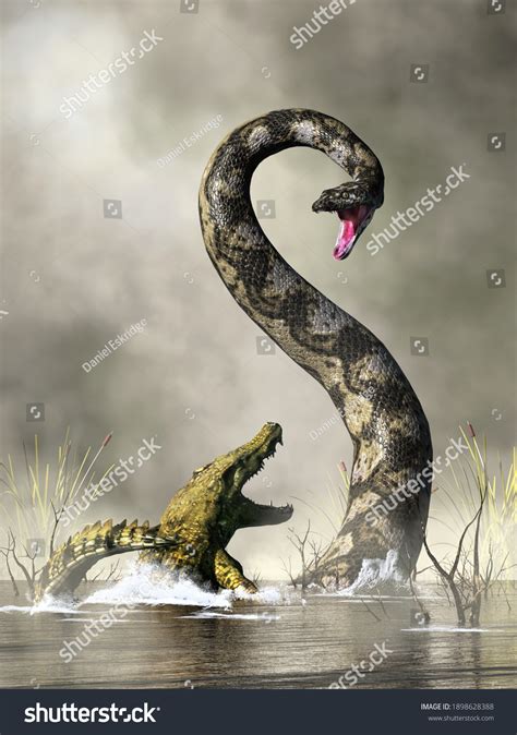 8 Alligator fighting snake: immagini, foto stock e grafica vettoriale ...