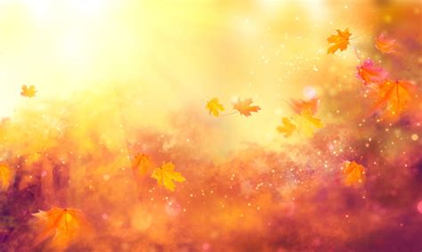 "Autumn Background" Images – Browse 72,837 Stock Photos, Vectors, and ...