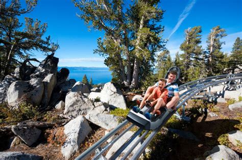 Ridge Rider Mountain Coaster - Visit Lake Tahoe