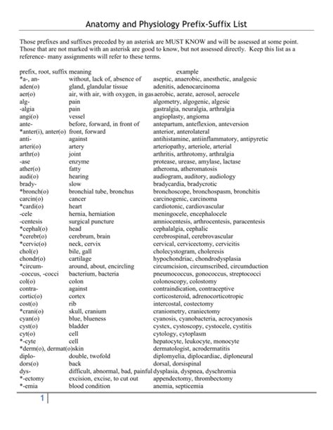 Anatomy and Physiology Prefix