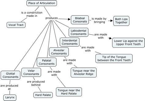 Manner Of Articulation Diagram