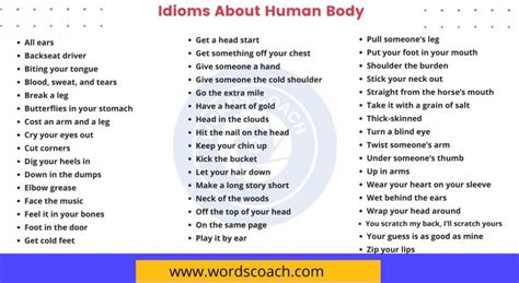 50+ Idioms About Human Body - Word Coach