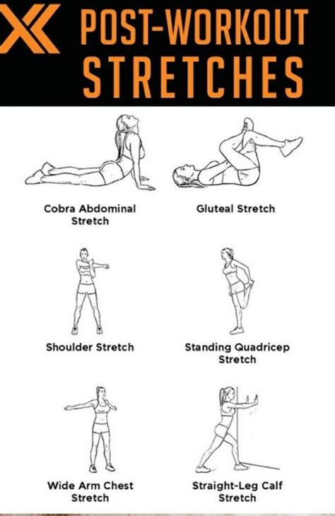 Post-workout stretches | Post workout stretches, After workout stretches, Pre workout stretches